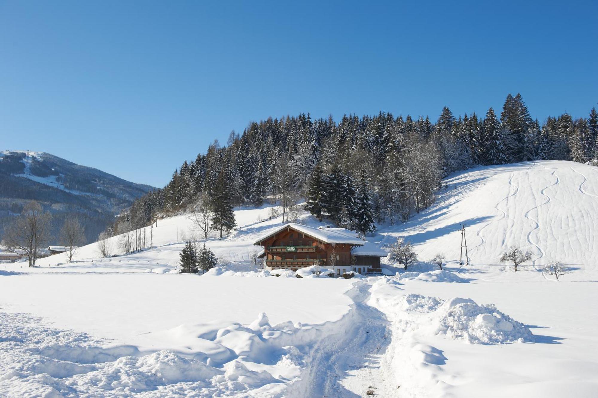 Laubichlhof Apartment Flachau Luaran gambar