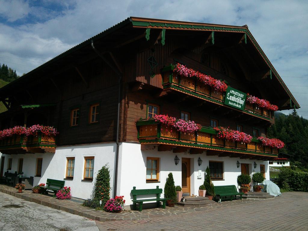 Laubichlhof Apartment Flachau Bilik gambar